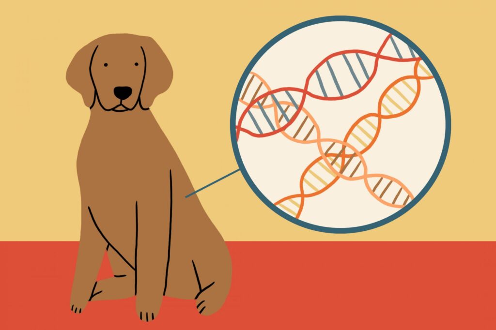 dogs dna-testing