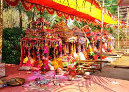 dolapurnima celebration of odisha