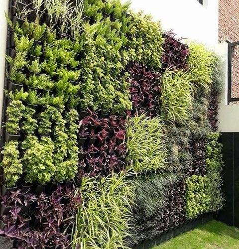 vertical-garden