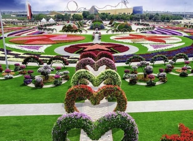 miracle garden of dubai