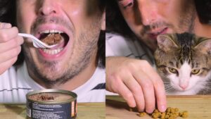 a man eats cats food