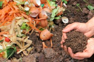 fertilizer out of food wastage